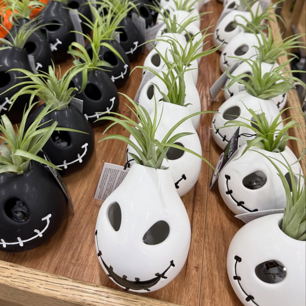 Light Up Ghouls Planters