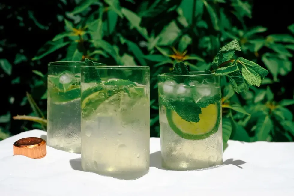 Lime Mint Spritzer