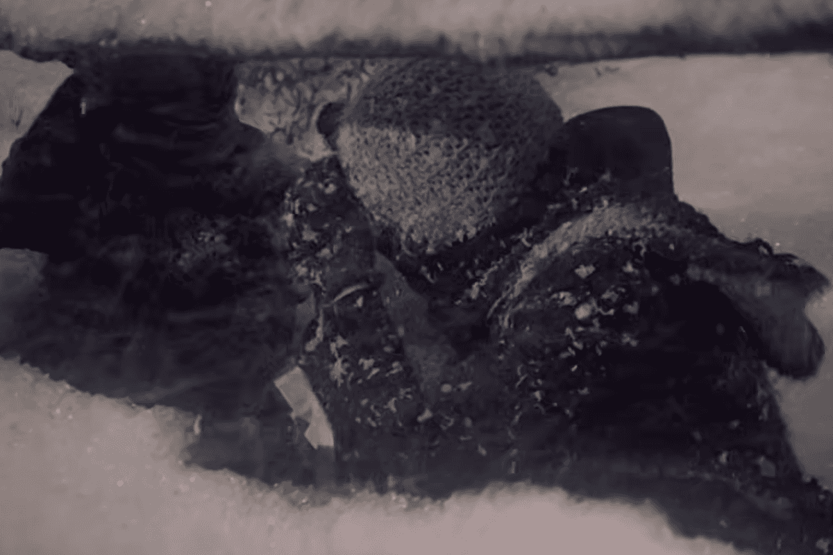 little house on the prairie blizzard