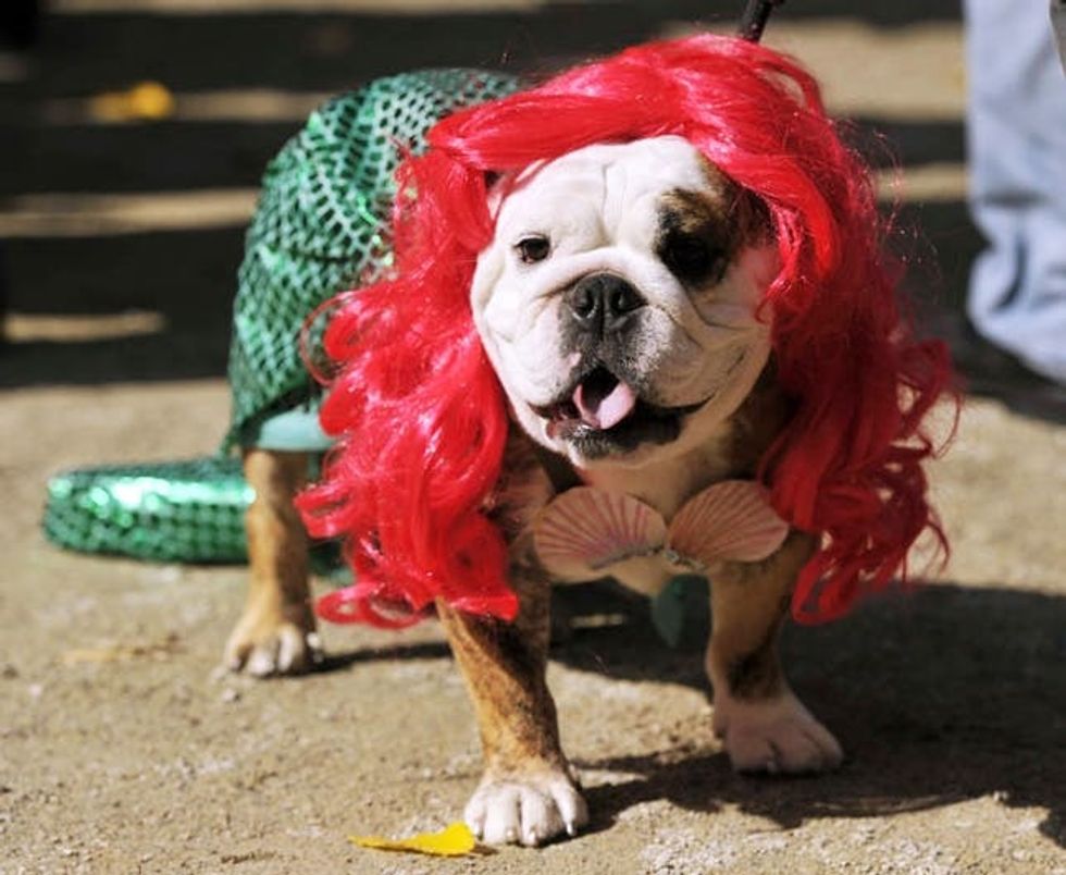 little mermaid costume