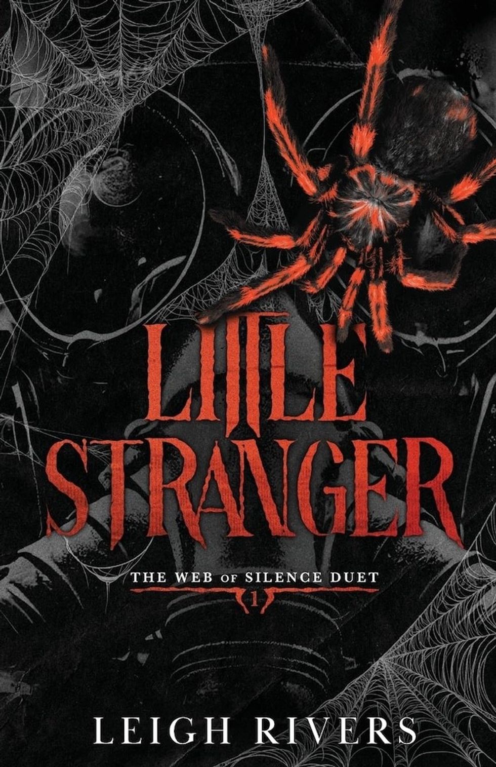 Little Stranger\u200b\u200b by Leigh Rivers