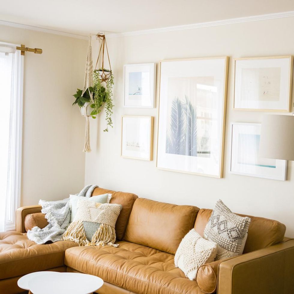 living room with houseplants