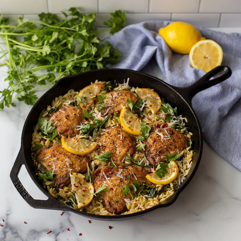 Lodge Seasoned Cast Iron Skillet