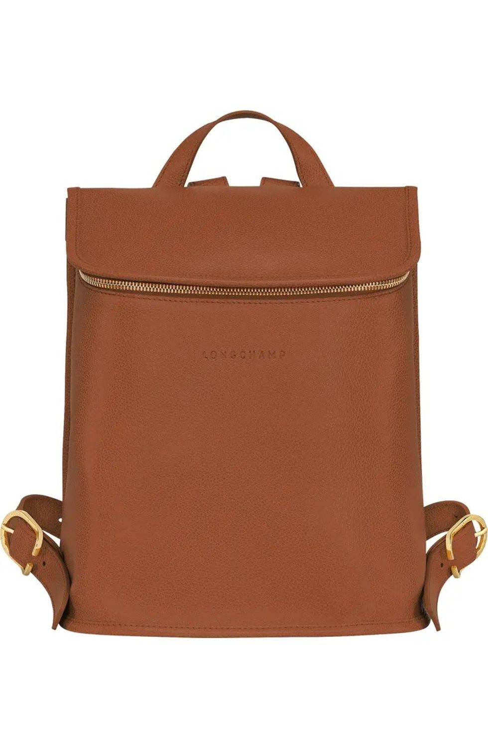 Longchamp Compact Le Foulon Backpack work bag