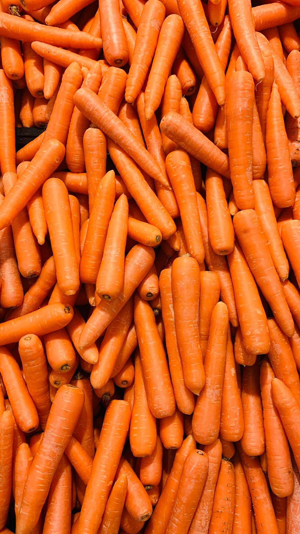 lots of carrot sticks close up full frame orange