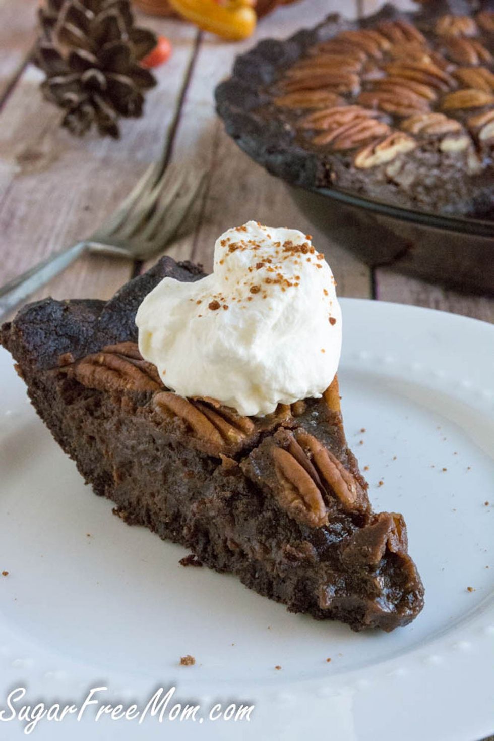 Low Sugar Low Carb Chocolate Pecan Pie