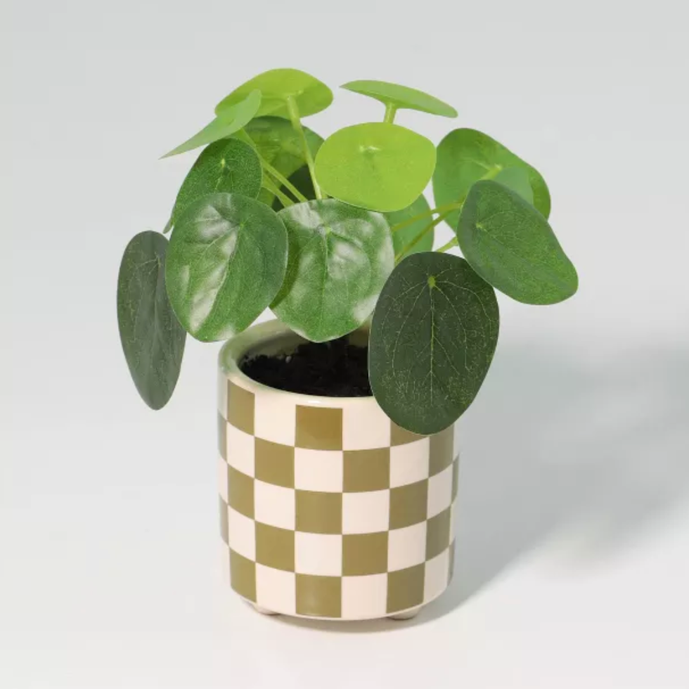 Luckygreenery Checker Planter