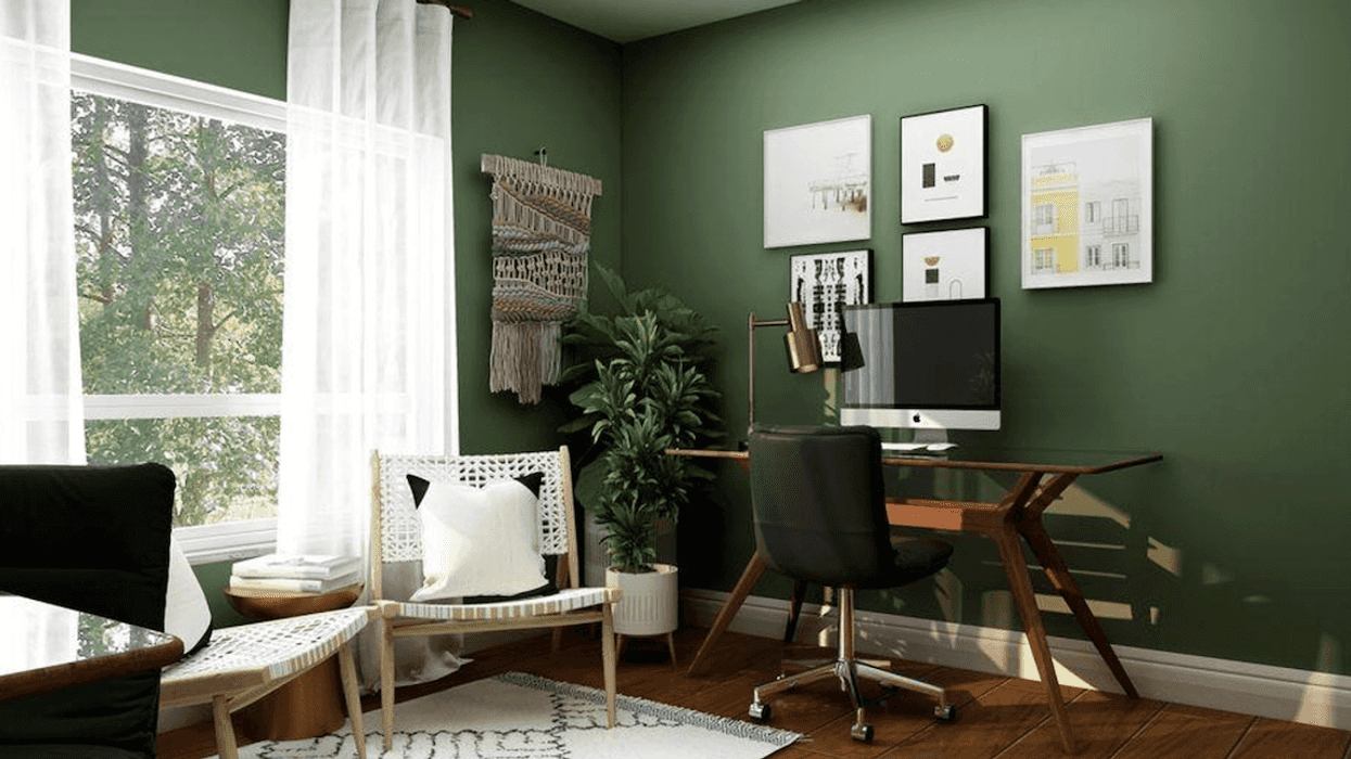 luxury home decor hacks green office with plants