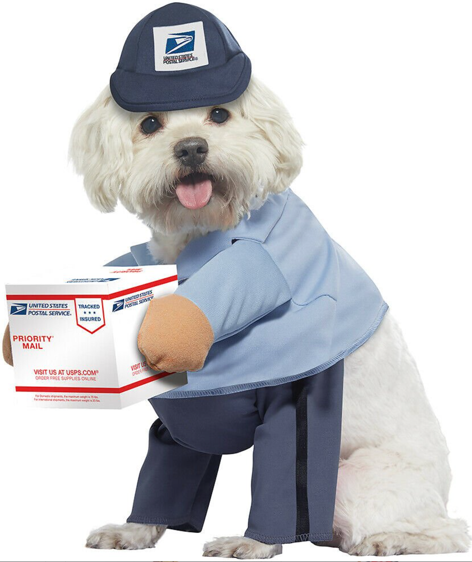 mailman dog costume
