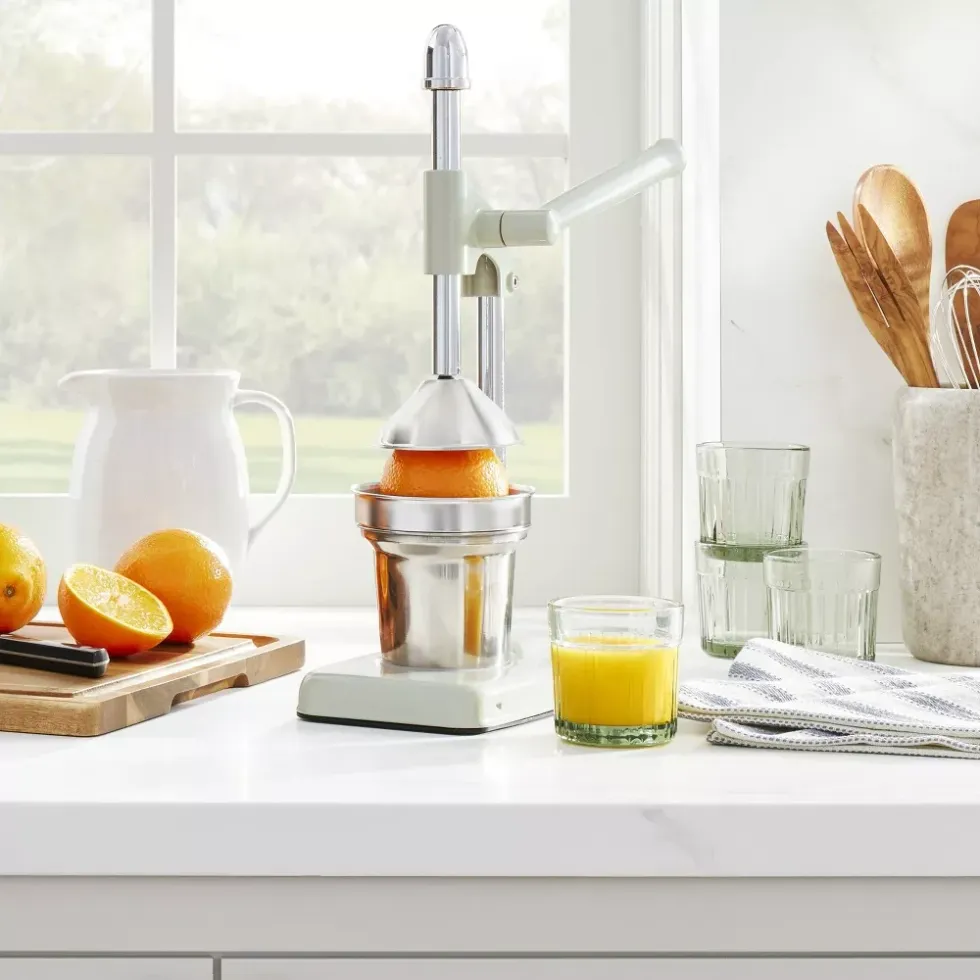 manual hand press juicer