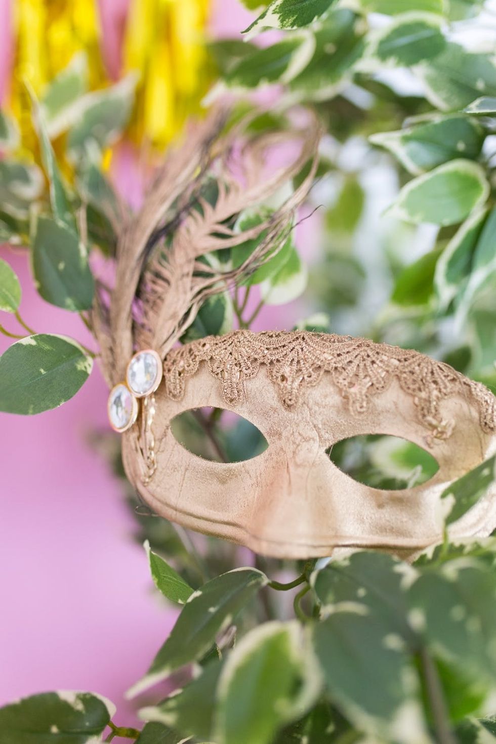 Mardi Gras DIY Mask_0009