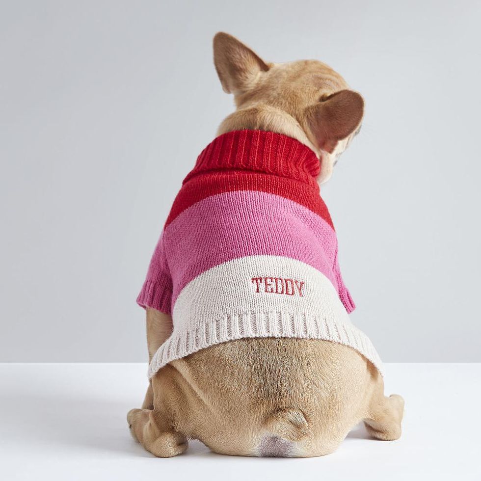 Mark & Graham Love Knit Dog Sweater
