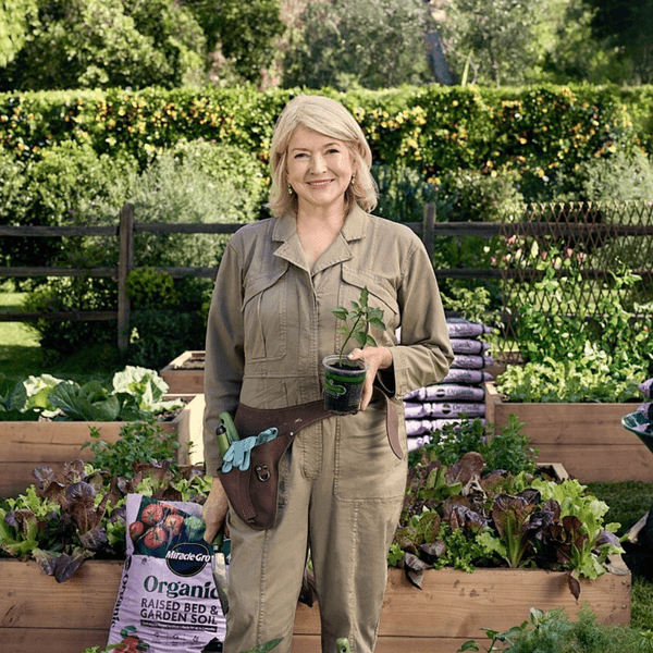 Martha Stewart on Fall Gardening