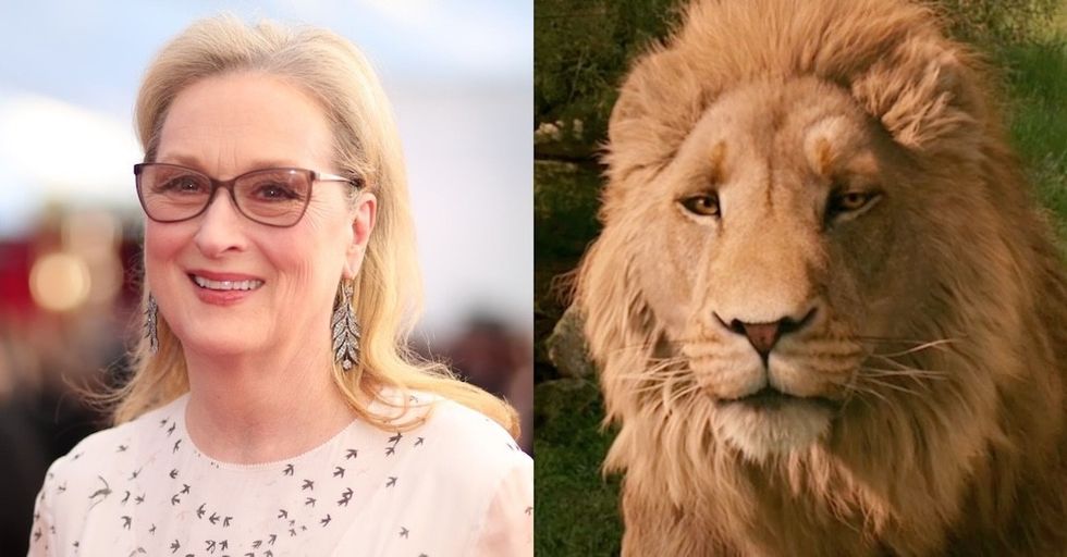 meryl streep aslan narnia casting rumor