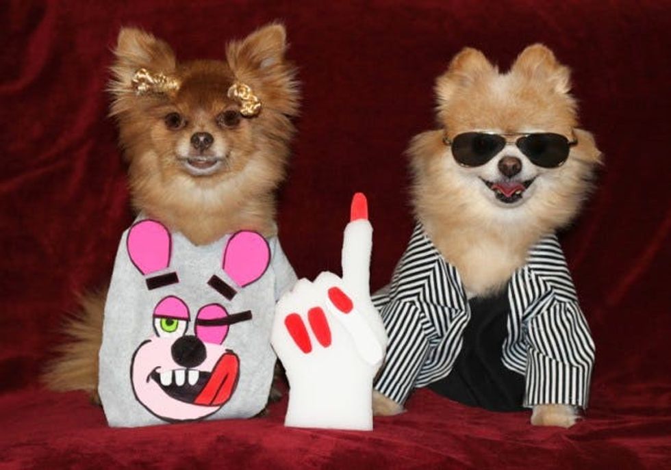 miley cyrus pet costume