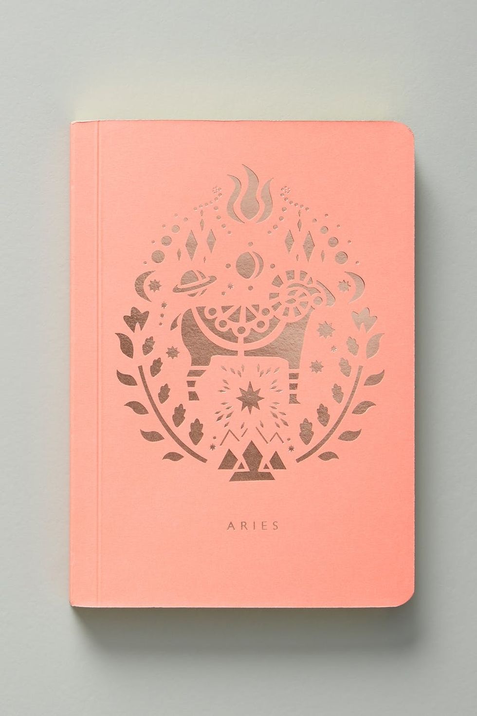 mini notebook in astrological signs Aries