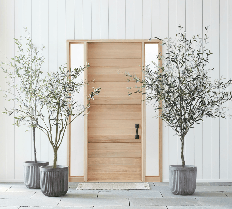 Minimalist wooden door flanked by potted olive trees on a tiled porch.