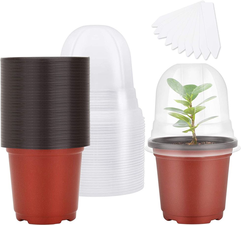 MIXC Plant Nursery Pots with Humidity Dome
