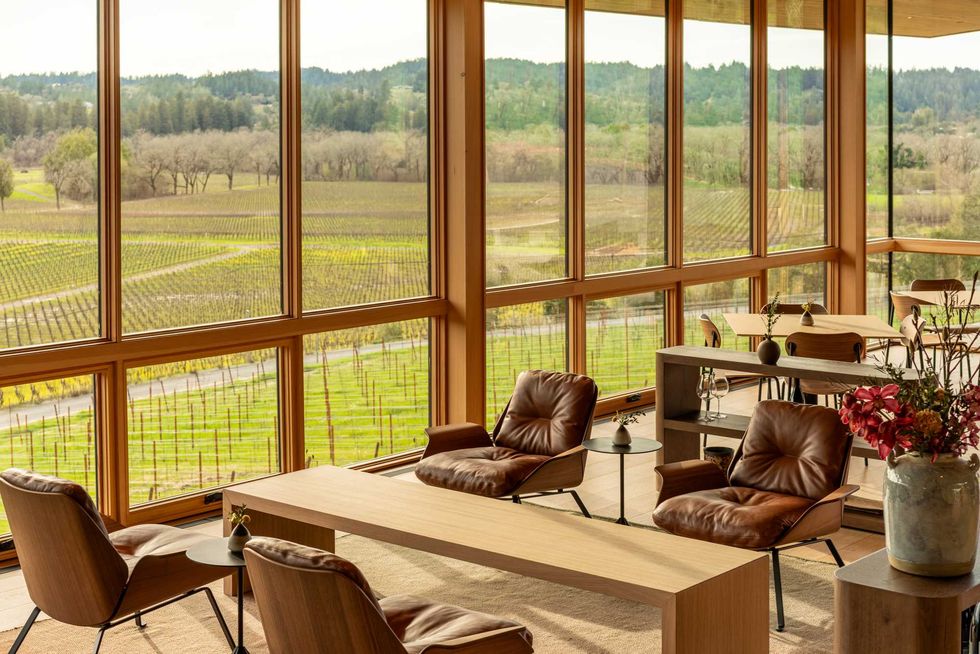 Modern room with large windows overlooking a vineyard, featuring leather chairs and wooden tables.
