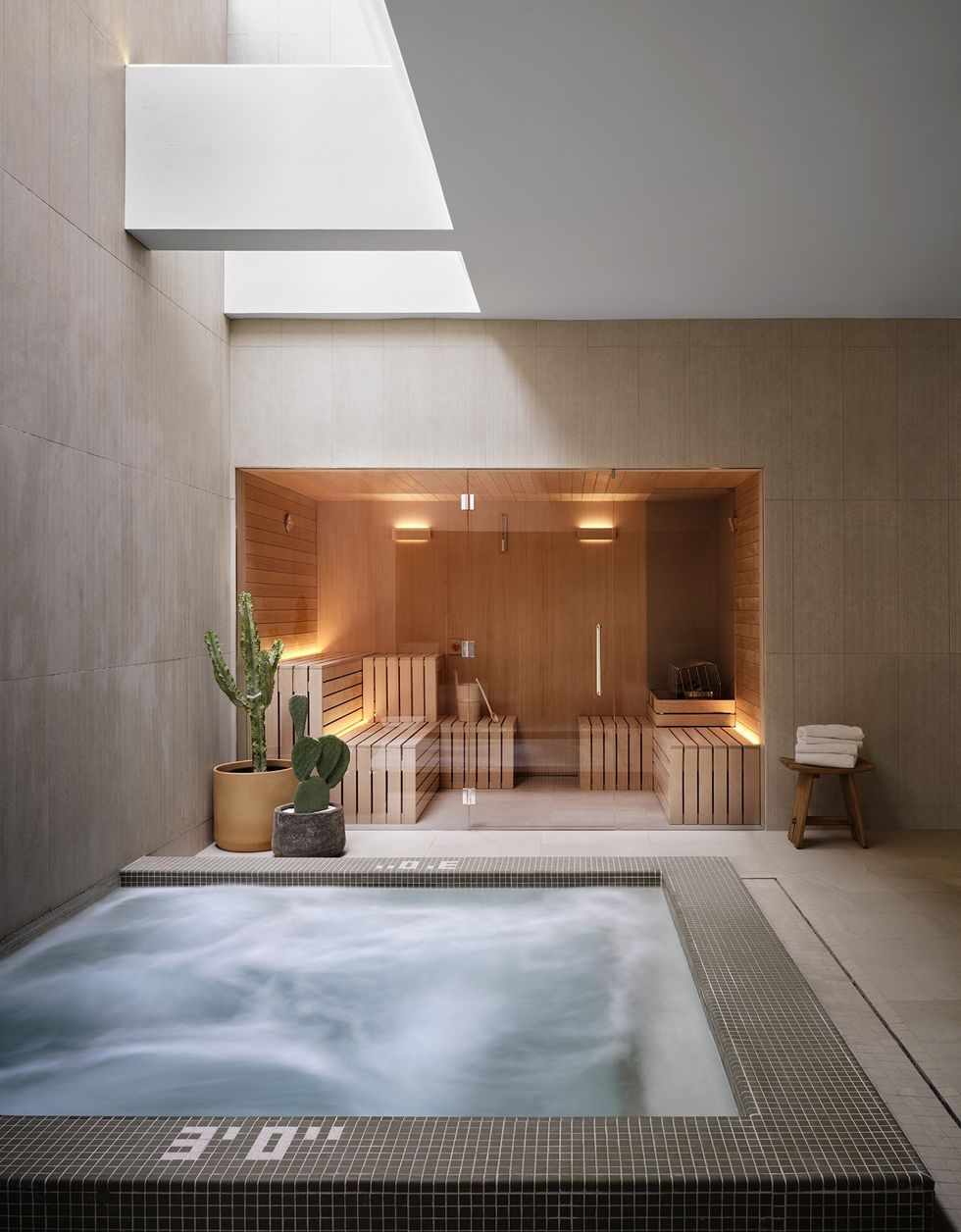 Modern sauna room with a hot tub, skylight, and potted plants.
