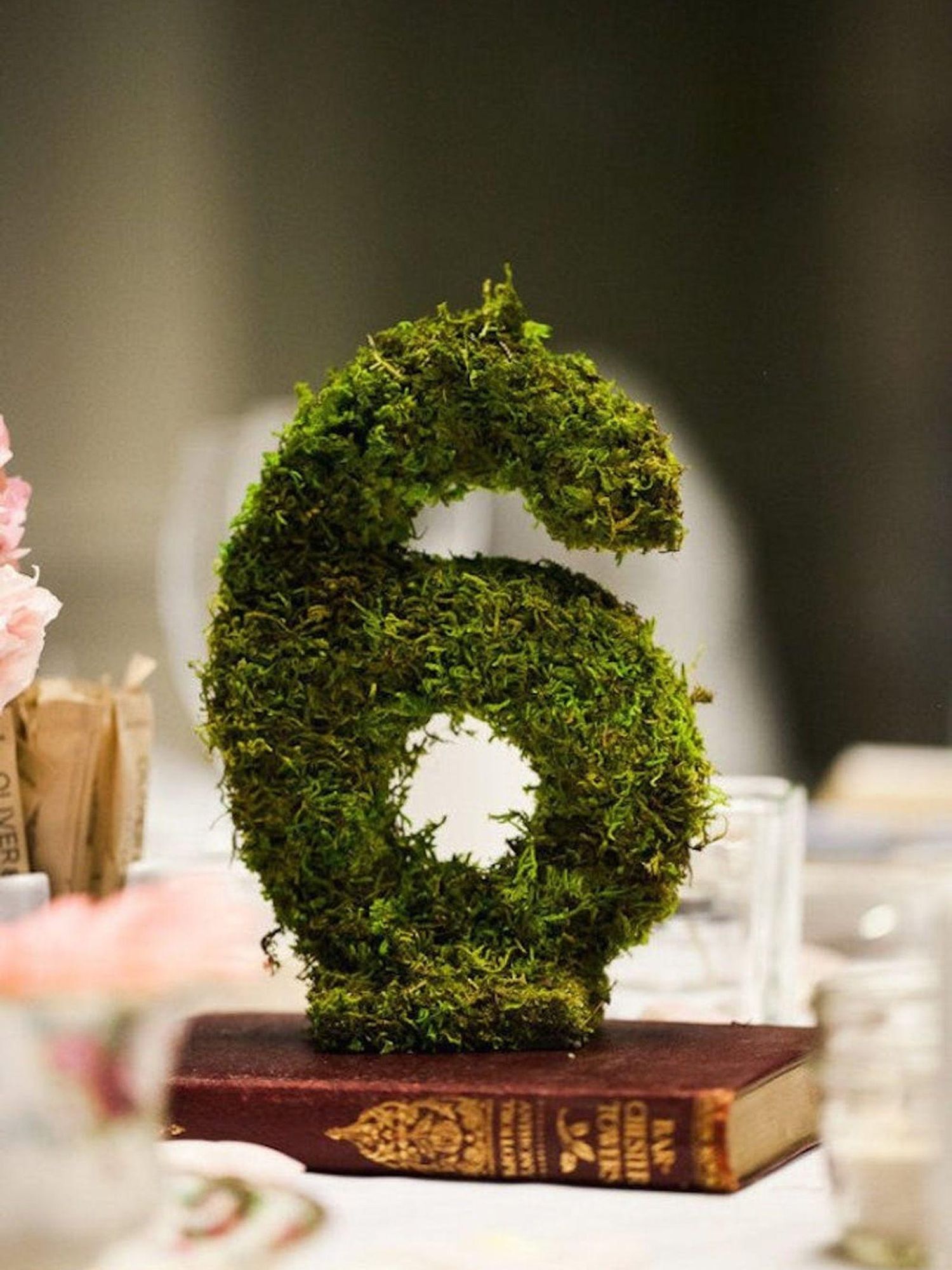 mossy guest table number