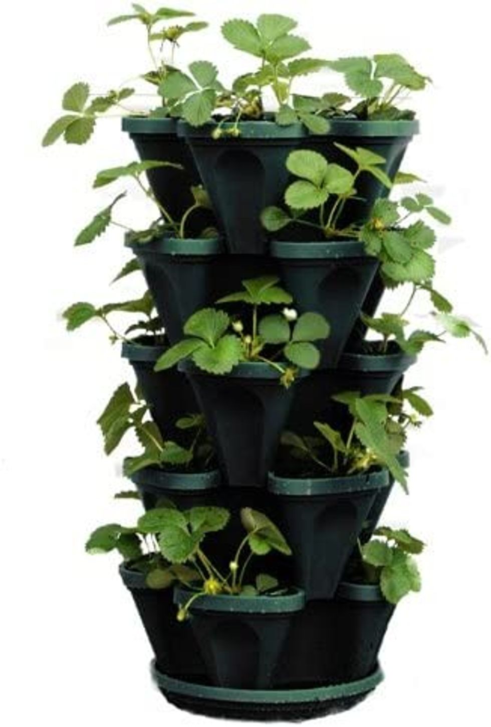 Mr. Stacky 5-Tier Stackable Strawberry, Herb, Flower, & Vegetable Planter