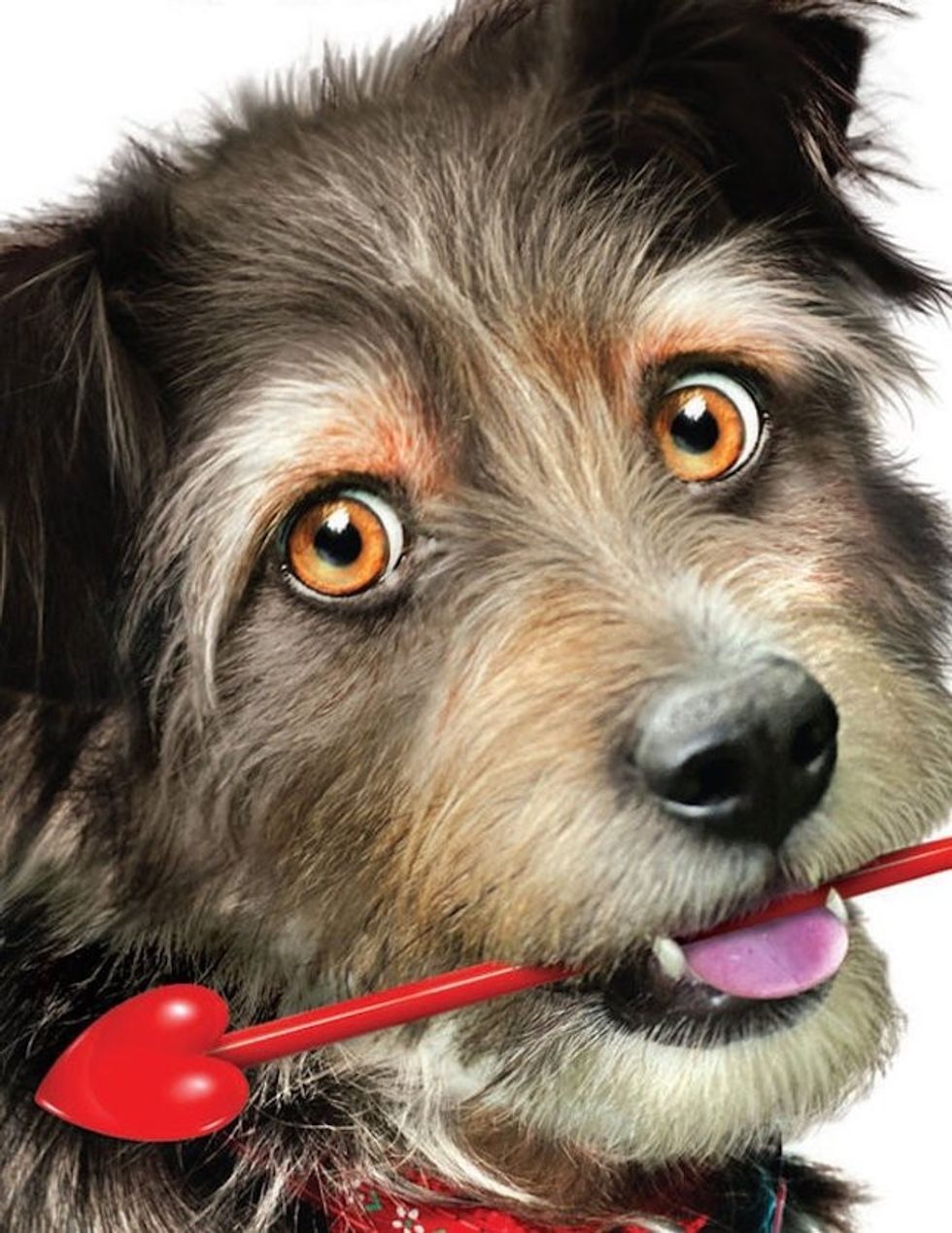 MV5BMTk5ODMzMzg2NF5BMl5BanBnXkFtZTcwOTI0NDkwOA@@._V1_UY1200_CR105,0,630,1200_AL_