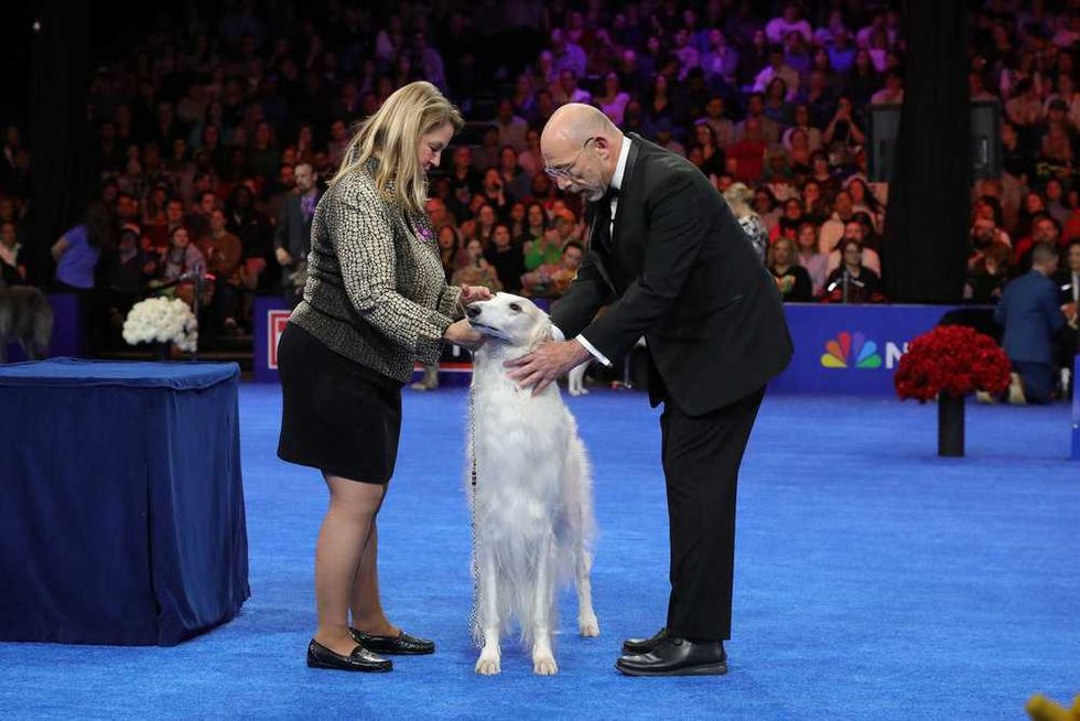 national dog show 2025