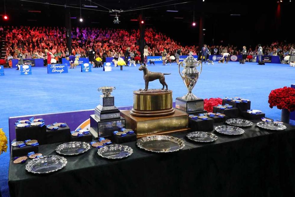 national dog show trophies