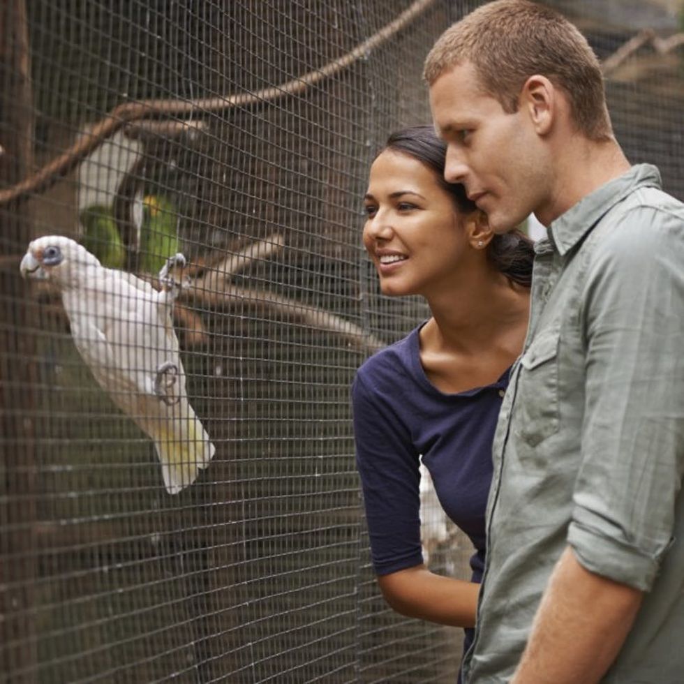 Natural beauty at its finest