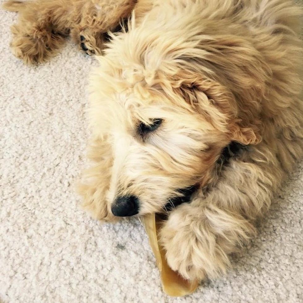 Natural Hooves for Dogs with Peanut Butter