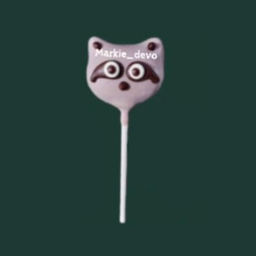NEW! Raccoon Cake Pop