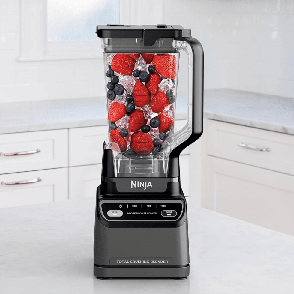 Ninja Professional Blender