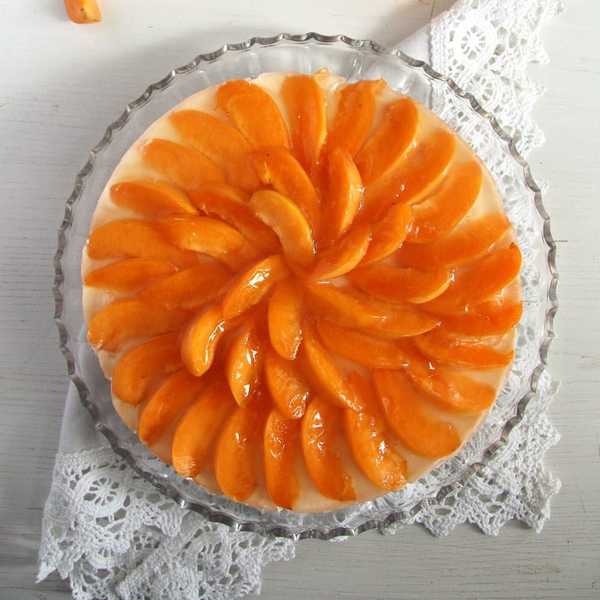 No-Bake White Chocolate Apricot Cheesecake