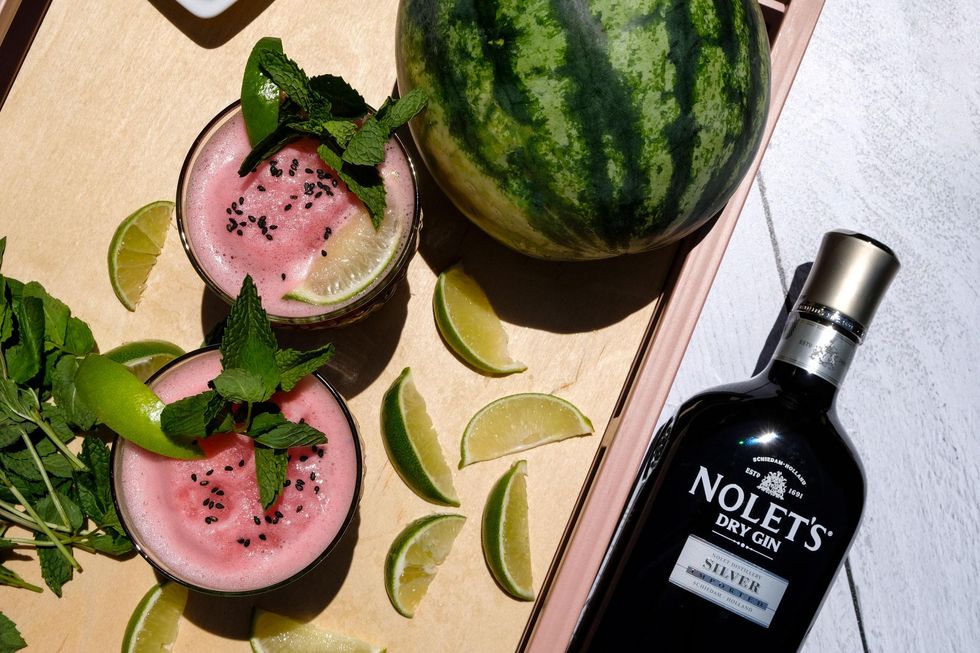 NOLET's Watermelon Slushy