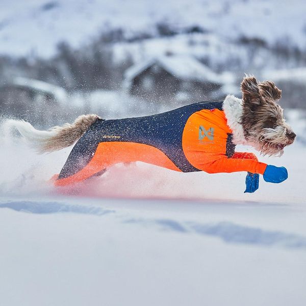 Non-Stop Dogwear Protector Snow