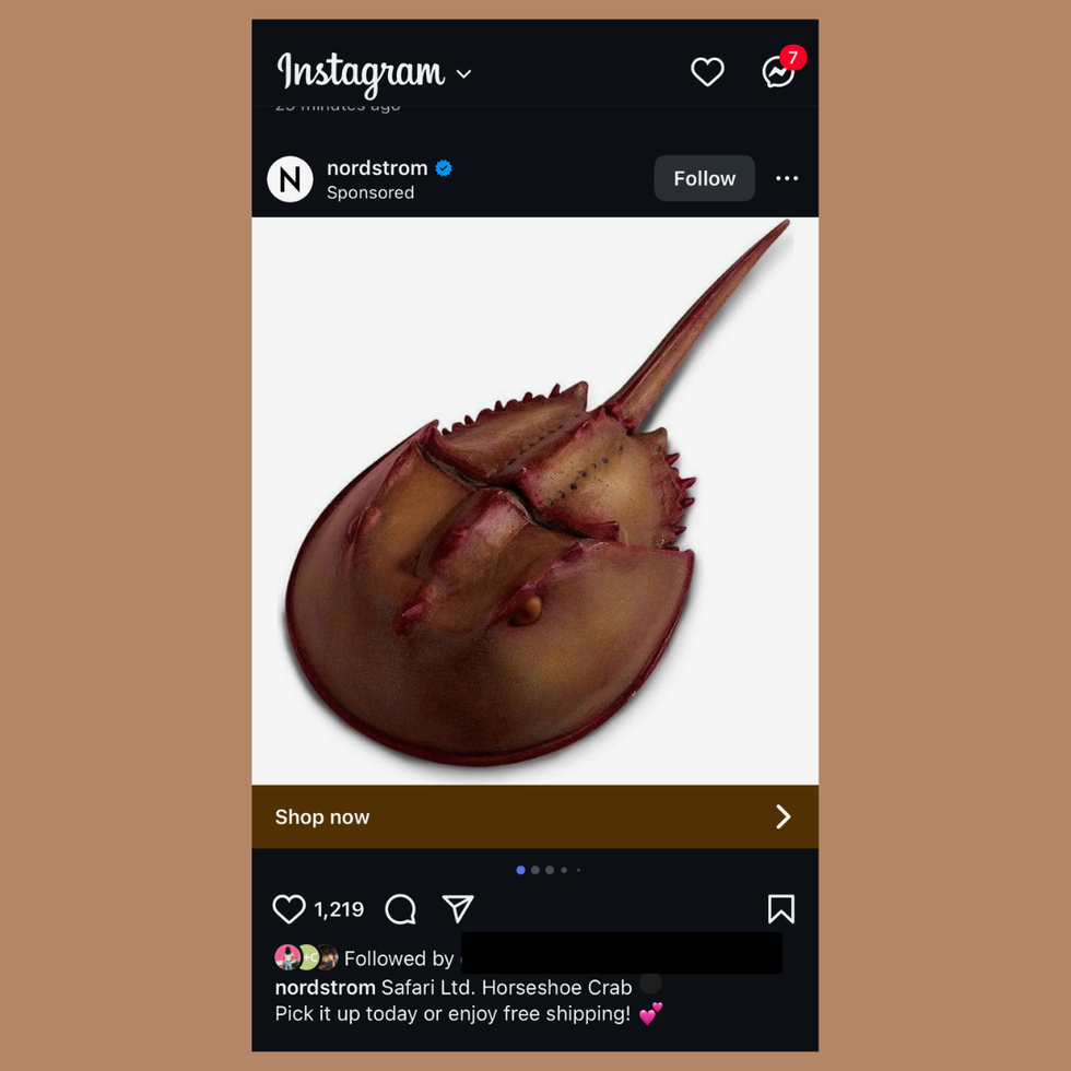 Nordstrom Horseshoe Crab Toy