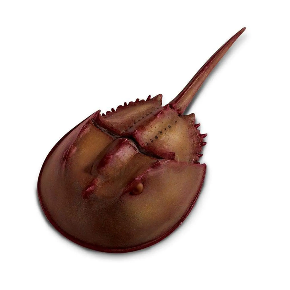 Nordstrom Horseshoe Crab Toy