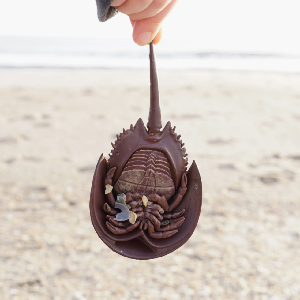 Nordstrom Horseshoe Crab Toy