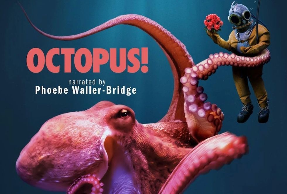 Octopus!