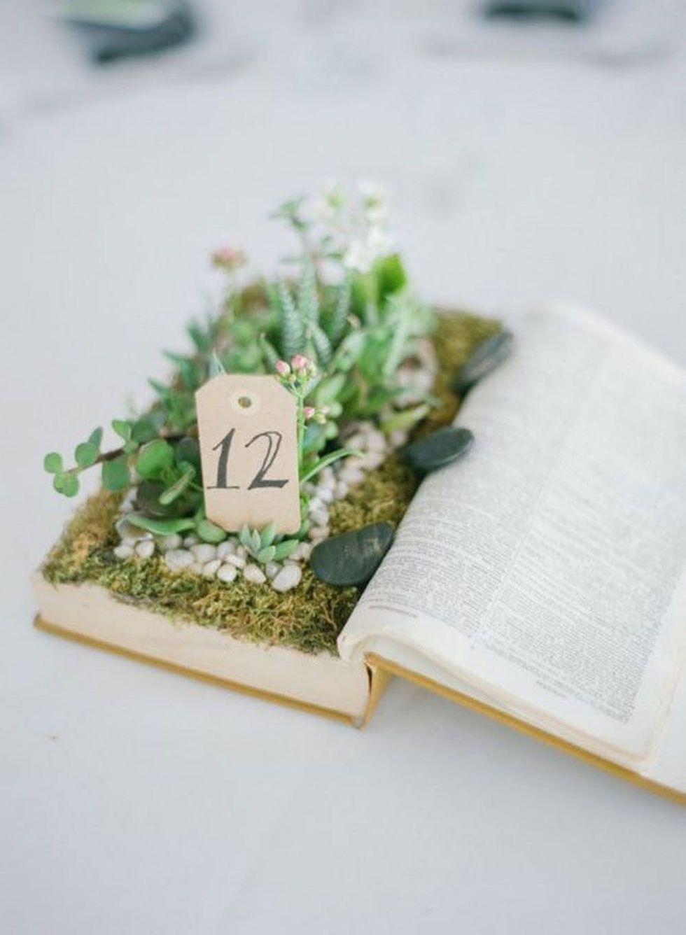 Old Book Moss Garden