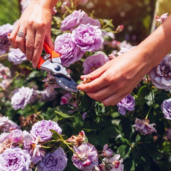 old fashioned landscaping ideas