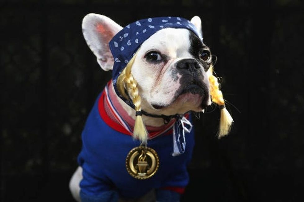 olympic dog costume