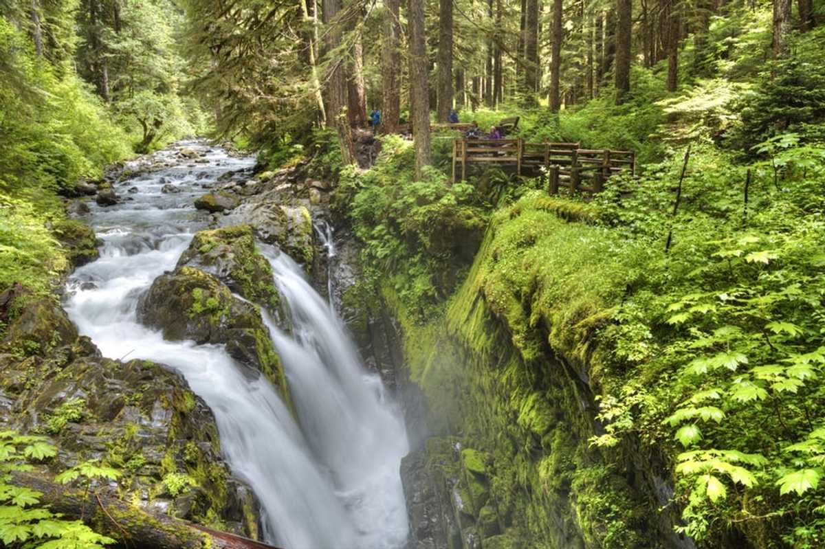 Olympic National Park in Washington