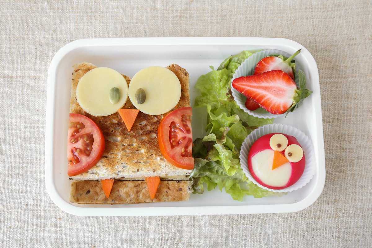 owl bento lunch