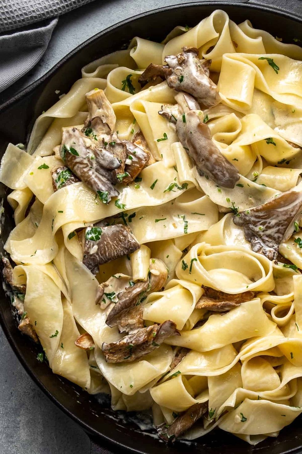 Oyster Mushroom recipes Pasta With A Creamy Sauce