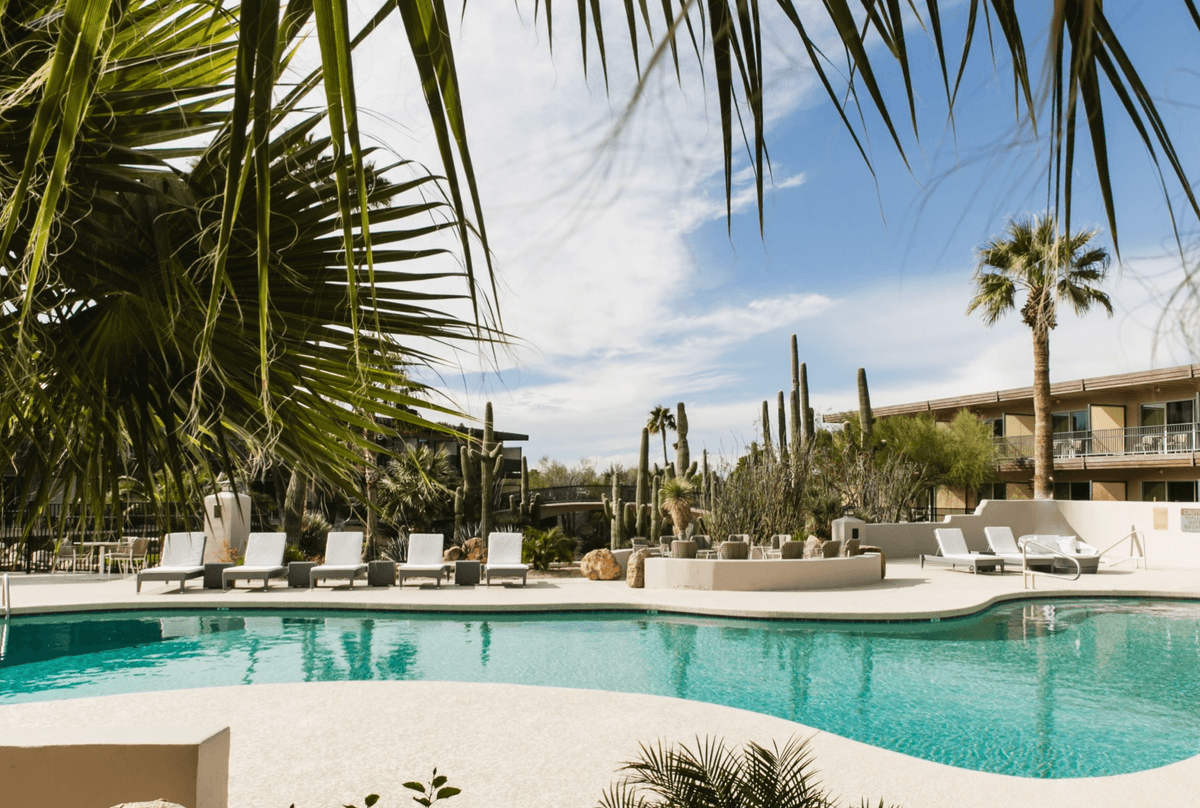 Palm-fringed pool with lounge chairs under a bright sky, surrounded by desert plants.