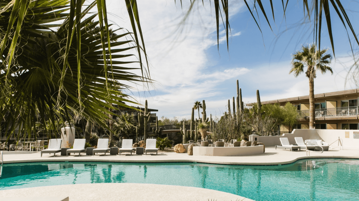 Palm-fringed pool with lounge chairs under a bright sky, surrounded by desert plants.