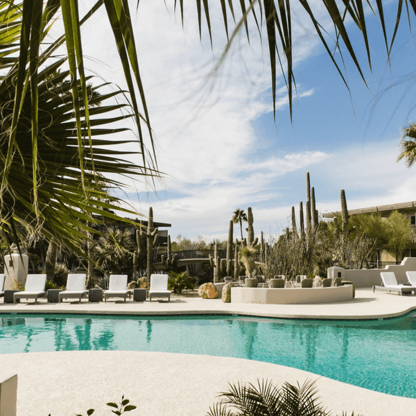 Palm-fringed pool with lounge chairs under a bright sky, surrounded by desert plants.