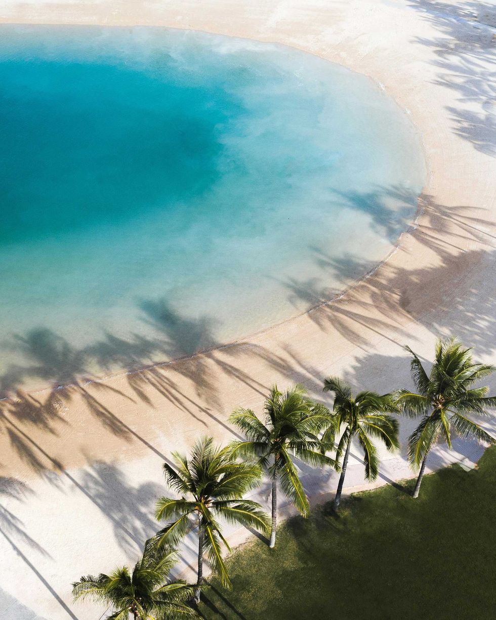 Palm trees casting shadows on a beach beside a turquoise lagoon.
